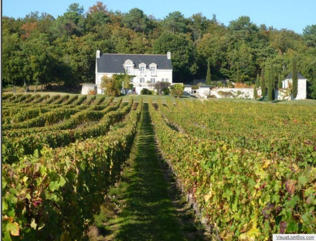 Domaine Beausejour Bed & Breakfast Panzoult Dış mekan fotoğraf